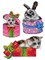 Pets inside Gifts Counted cross stitch kit with plastic canvas